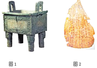 图片_x0020_100009