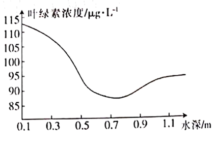 图片_x0020_100008