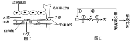 图片_x0020_100011