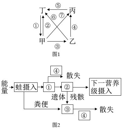 图片_x0020_1921908253