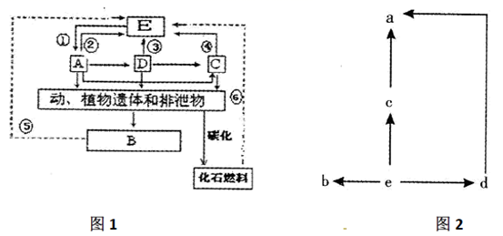 图片_x0020_100021