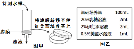 图片_x0020_1571997446