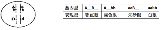 图片_x0020_1288581452