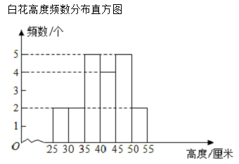 图片_x0020_100011