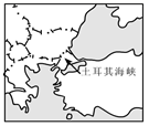 图片_x0020_1205932276