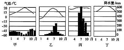 图片_x0020_184845218