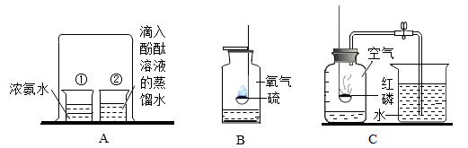 图片_x0020_941868793