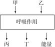 _x0000_i1025
