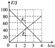 图片_x0020_100011
