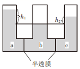 图片_x0020_100012
