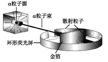 图片_x0020_100009