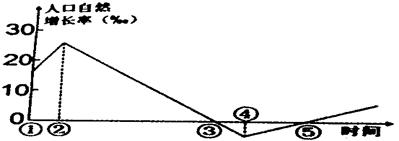 图片_x0020_14296241