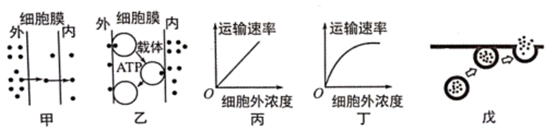 图片_x0020_100006