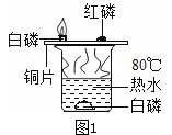 图片_x0020_917536208