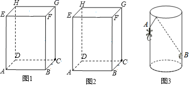 图片_x0020_100010