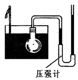 图片_x0020_100051