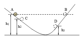 图片_x0020_100019