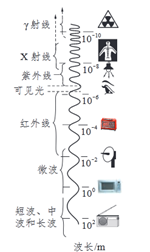 图片_x0020_100050