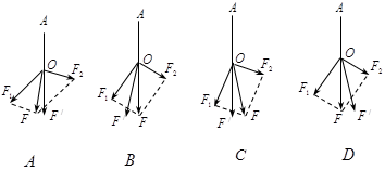图片_x0020_758633375
