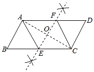 图片_x0020_100010