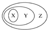 图片_x0020_1644763756