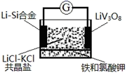 图片_x0020_1491659502
