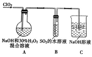 图片_x0020_100030