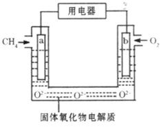 图片_x0020_100008