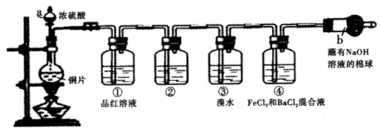 图片_x0020_100022