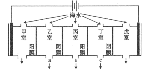 图片_x0020_1628075966