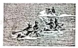 图片_x0020_100021