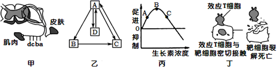 图片_x0020_652045381