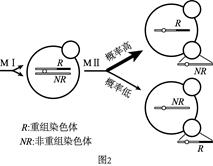图片_x0020_2079639569