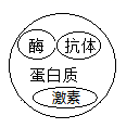 图片_x0020_100001