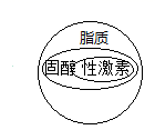 图片_x0020_100002
