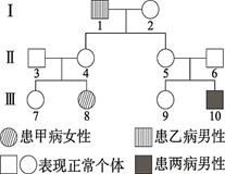 图片_x0020_1466967052