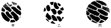 图片_x0020_978808245