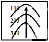 图片_x0020_100004