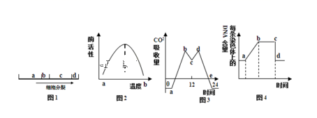 图片_x0020_477818352