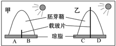 图片_x0020_383843349