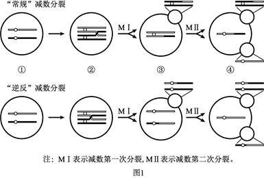 图片_x0020_486285296