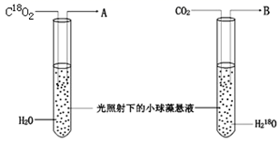 图片_x0020_1449504724