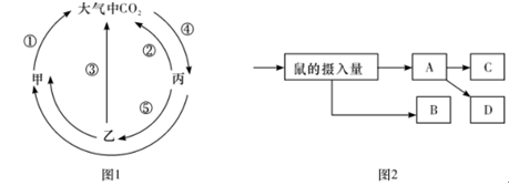 图片_x0020_100028