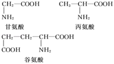 图片_x0020_100013
