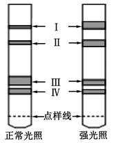 图片_x0020_96817024