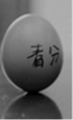 图片_x0020_100001