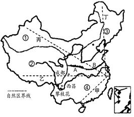 图片_x0020_100010
