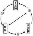 图片_x0020_876566710
