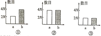 图片_x0020_1042701058