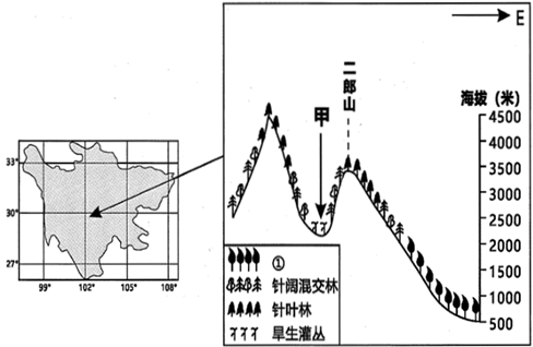 图片_x0020_100005